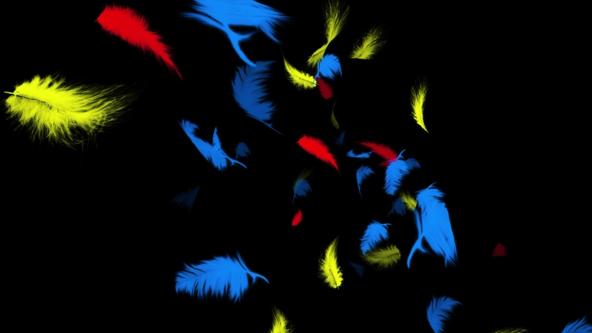 white feathers flying Loop background. explosion of feathers. Animation of colorfull wings flying over the fall on a black background. promo, happy holidays seasonal greetings, birthday party, wedding