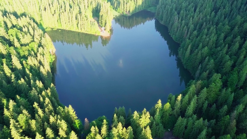 Aerial view Carpathian mountings in summer. Carpathian nature, mounting lake. Aerial view Synevir lake, Ukraine