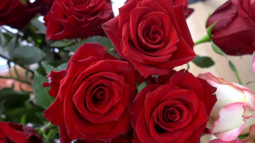 Close-up of a large number of red roses in a tin vase with handles against the background of other flowers for sale. The flowers are on display in a flower shop. Flower business.