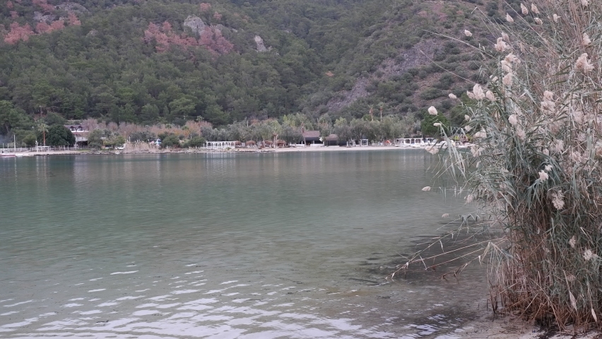 There is a very beautiful clear sea in the middle surrounded by trees. There are tall bushes and flowers by the sea. A beautiful nature view. Location, Turkey, Fethiye Dead Sea. | Shutterstock HD Video #1089203621