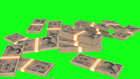 Many wads of money falling chromakey background. 1000 Japanese Yen banknotes. Stacks of money. Financial and business concept. 