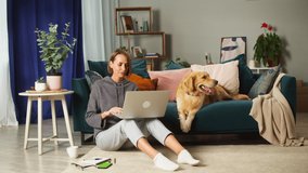 Young woman speaking on video call on laptop, sitting on floor in living-room and showing dog. Golden retriever lying on sofa. Obedient puppy breathing with tongue out, waiting for his owner, relaxing