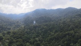 Aerial view of nature forest in summer. Dron flying over beautiful landscape in Southern Thailand