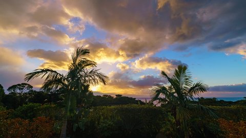 Time lapse of epic sunrise over palm trees in Yakushima Island, Kagoshima Prefecture, Japan
