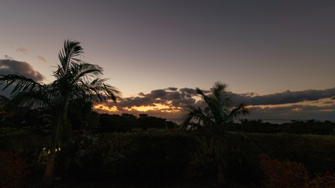 Time lapse pan of epic sunrise over palm trees in Yakushima Island, Kagoshima Prefecture, Japan