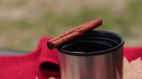 Mulled wine with cinnamon sticks in thermo cup outdoors in autumn park. Red scarf Fall picnic