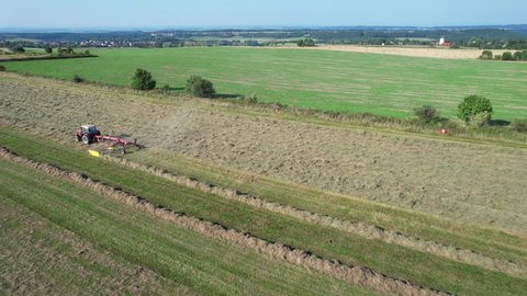 Rowing of the mown silage crop by a tractor in lines. Preparation of fodder for cattle for the winter. Top view.