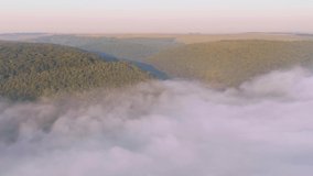Gorgeous landscape covered with thick morning fog. Footage from a bird's eye view. Location place Dniester canyon, Ukraine, Europe. Cinematic drone shot. Filmed in UHD 4k video. Beauty of earth.