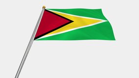 A loop video of the Guyana flag swaying in the wind from below.