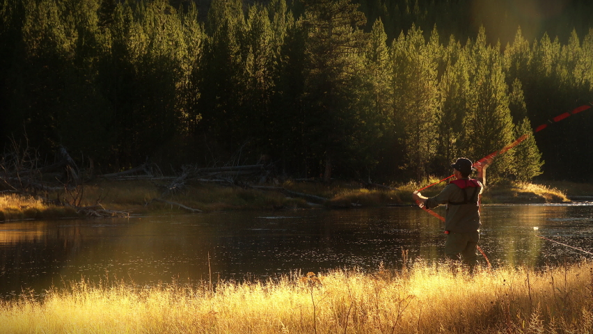 Fly Fisherman casting his line in scenic wild river in slow motion backlight. Golden hour light in rocky mountains of Yellowstone National Park, Wyoming and Montana, USA. 4K.