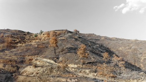 Burnt out hill after wildfire near Arakapas village. Limassol District, Cyprus
