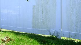 Close up of dirty white vinyl siding and high pressure power washer. Professional cleaning services concept.