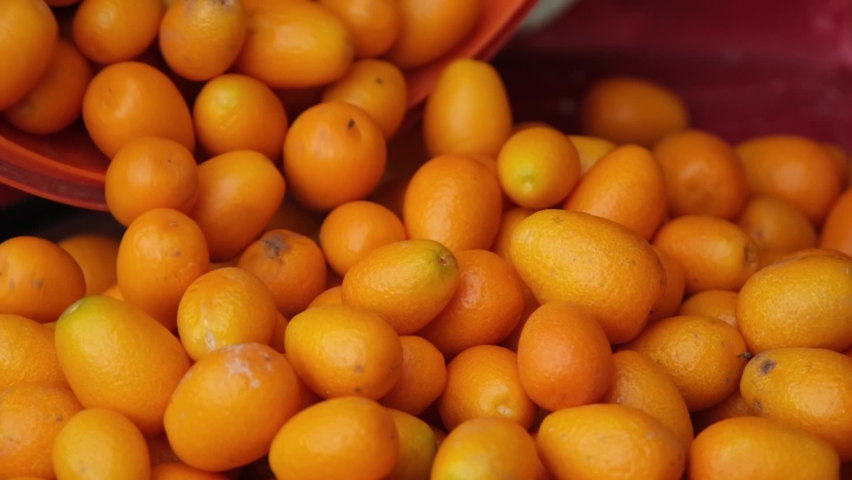 Dropping kumquats to plastic box. Slow motion Royalty-Free Stock Footage #1089241347