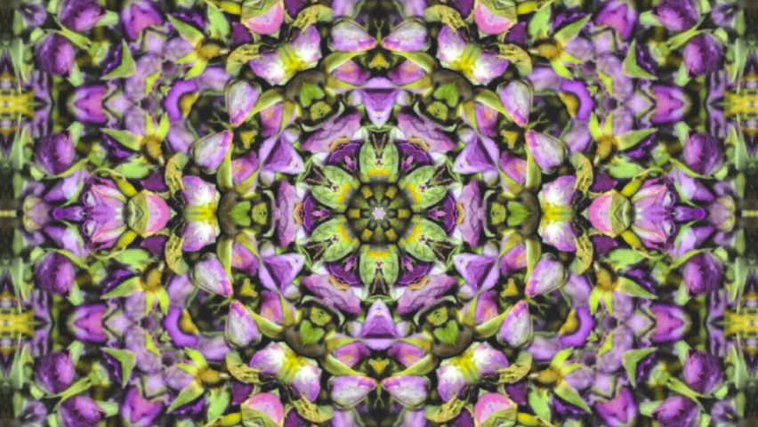 Purple Kaleidoscope pattern mandala  circle lower line neon mirror redering geometry background effect abstract texture multi color spiral, circle