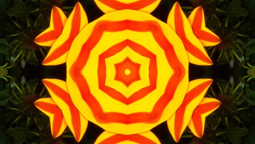 Pink Kaleidoscope pattern mandala circle lower line neon mirror redering geometry background effect abstract texture multi color spiral, circle