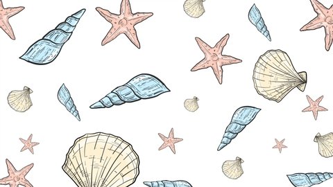 Animated Hand Drawn Seashells illustrations. Vintage Marine set pattern animation. Motion Sea Stars and Seashells Texture on White Background. Vacation, Holiday or Sea Concept Background. 4K Video 