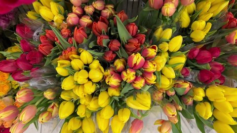 tulip bouquets tulips flowers colorful fragrance flower shop showcase in the market blooming young leaves flowers