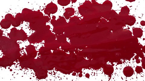 Blood drop splatter fills the frame with red.
Drops of blood land on a white background eventually filling it up.