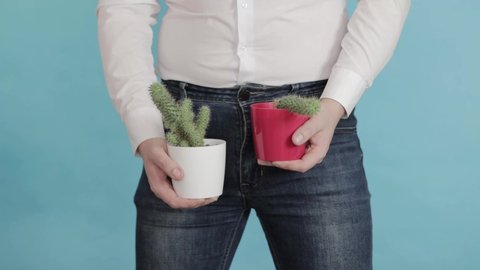 A man in a white shirt holds two pots of cacti in his hands against the background of his groin. The concept of urology and sexology in male diseases. Erectile dysfunction, potency and libido. Closeup