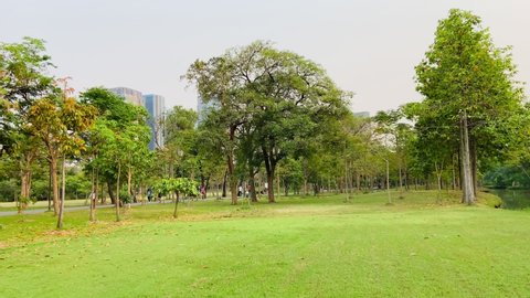 Beautiful nature and fresh air in the Suan Wachira Benjathat (Rod Fai Park) in the Bangkok city, people like to come for relax for heeling mind after working hard and charging battery of life.