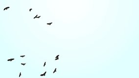 A flock of migratory birds. set of black silhouettes of birds flying in the sky Loop Backgrounds. group of birds flying. Flock gulls flying in sea, freedom of sea life, free and active summer vacation