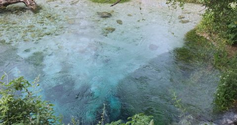 Karst spring in Albania. Top view, perfect clear water, algae with greenery in the water. Daytime, medium shot
