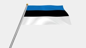 A loop video of the Estonia flag swaying in the wind from below.