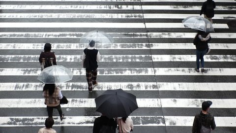 OSAKA, JAPAN - MAY 2021 : Aerial top view of unidentified crowd of people with umbrella, walking at the zebra crossing in rain. Slow motion shot. Japanese rainy season and city lifestyle concept video