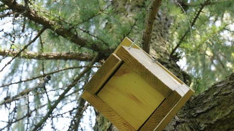 The bottom part of the birdhouse in Estonia hanging on the tree in the forest