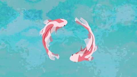 Koi fish in blue water animated cycle movement, sky reflection, 
ripples on water. Japanese balance symbol. Ying Yang. Two koi carps. Animated illustration. Swimming in water. Zen symbol. orange fish.