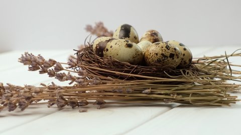 Close-up of quail eggs rotating. Bright multi-colored quail eggs. Macro. Selective focusing. The concept of eco-products