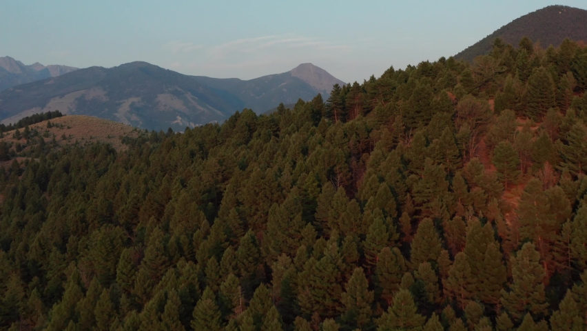An onwarding aerial shot of trees while revealing the Paradise Valley of the Yellowstone River in southwestern Montana. The valley is flanked by the Absaroka Range and Gallatin Range.