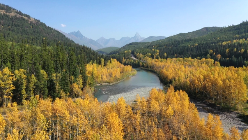 Yellow Aspen Trees In The Forest With Flathead River In Glacier National Park, Montana, USA. - aerial Royalty-Free Stock Footage #1089305065