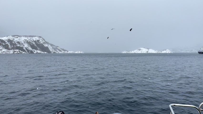 White Tail Eagles circle and dive toward the ocean as viewed from the back of a boat with snow covered mountains and rocks in the background, handheld static shot Royalty-Free Stock Footage #1089305217