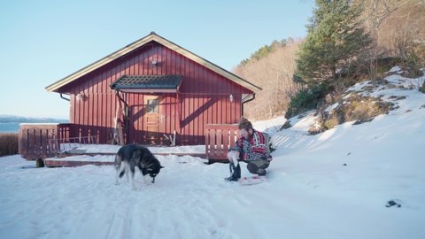 Man Feeding His Alaskan Malamute Dog Outside The Wooden Cabin At Winter. - wide shot