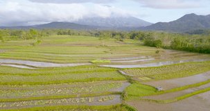 Aerial view of terraced rice fields in Magelang, Indonesia. Drone shoot of tropical landscape. Beautiful lines of rice fields. rice fields, hills and mount Sumbing in the morning with bright sky.