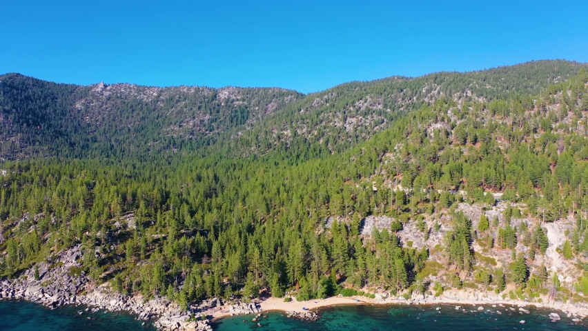 Cars Driving Through Thick Pine Tree Woods or Forest in the Mountains of Lake Tahoe In The Sierra Nevada Hills with Lush Vegetation - aerial drone shot