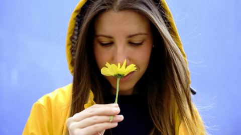 Cropped stop motion portrait of caucasian woman smelling a daisy flower. Horizontal portrait of woman with yellow marguerite and raincoat isolated on blue background. Spring conceptual backgrounds.