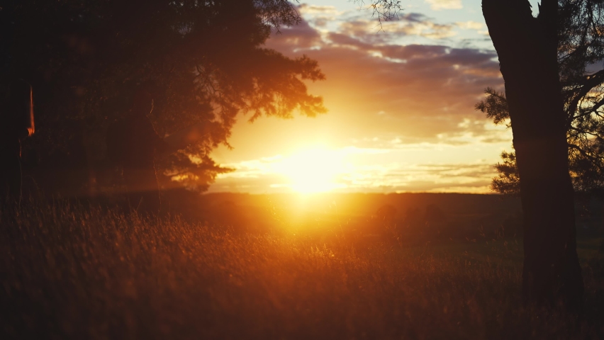 hiker group. team of hikers with backpacks silhouette walk through the forest. nature travel a adventure concept. hiker group with backpacks walk on the sunset. mountain lifestyle outdoor view