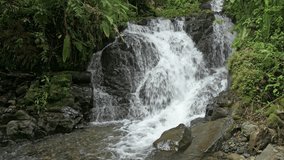 Tropical cloud forest with waterfall, La Amistad International Park, Chiriqui, Panama, Central America - stock video