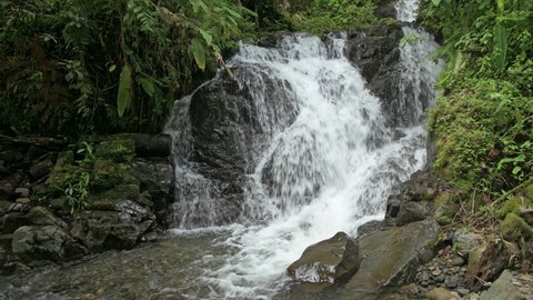 Tropical cloud forest with waterfall, La Amistad International Park, Chiriqui, Panama, Central America - stock video