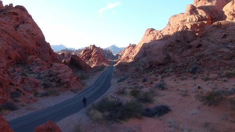 Iconic road with orange rocks at Valley of Fire State park in Nevada