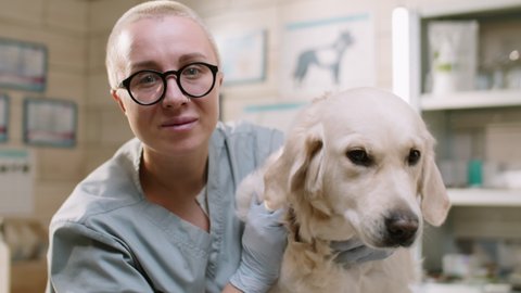 Portrait of cheerful female vet in gloves and medical uniform petting golden retriever dog and looking at camera in clinic