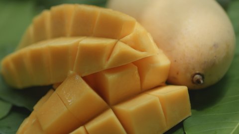Close-up shot of ripe Barracuda mango or yellow mango tropical fruit in organic farm slowly rotating showing juicy texture yellow color inside cut and dice fruit on green mango leaves. 