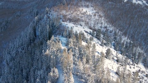 Aerial View of Winter Landscape Near Beaver Creek Ski Resort, Avon, Eagle County, Colorado USA on Sunny Winter Day