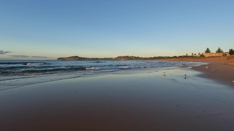 Sunny morning view of Mona Vale Beach, Sydney, Australia.