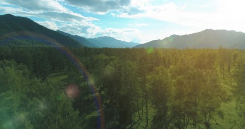 4K aerial view. Low flight above evergreen pine tree landscape with endless mountain forest at sunny summer evening. Sun rays on horizon. Fast horizontal movement. Wild nature
