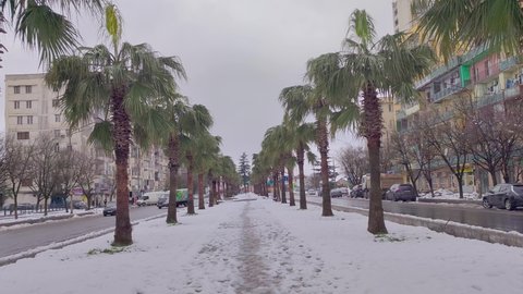 Kutaisi, Georgia - March 18, 2022: Pedestrian alley between palms with snow in Kutaisi.
