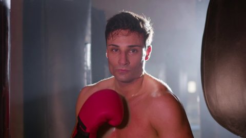 Portrait shot of young male boxer posing in fighting stance and looking at camera while working out in gym. Attractive multiethnic man keeping eye contact, ready for battle. Boxing, sport concept