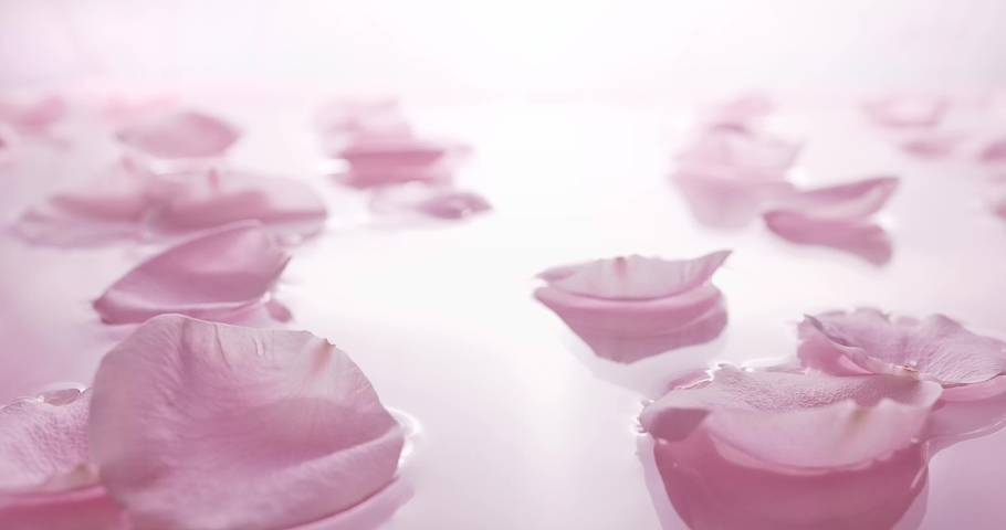 Calm clear water with falling pink rose petals Royalty-Free Stock Footage #1089370967